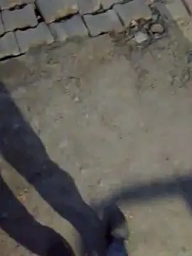 Snapshot of haryanaboypanipat12 chatting on March 17, 2026, 1:25 pm haryanaboypanipat12 online show from March 17, 2026, 1:25 pm