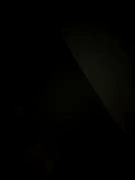 SienaWild online show from December 20, 2025, 4:15 am