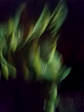 Saloni-Gupta online show from September 22, 2025, 3:40 pm