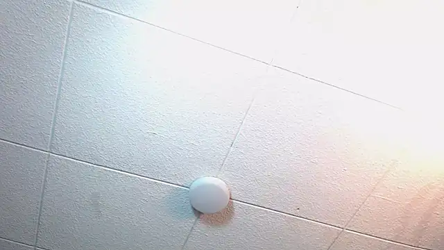 RichardMilleer online show from November 12, 2025, 2:21 pm