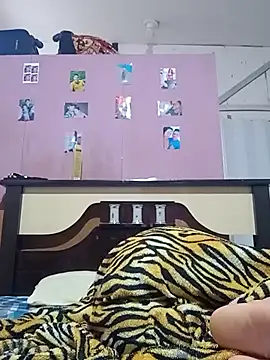 Cachorrinha2025 online show from November 18, 2025, 8:39 am