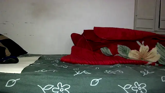 Snapshot of Kwasi-a chatting on April 7, 2026, 4:09 pm Kwasi-a online show from April 7, 2026, 4:09 pm