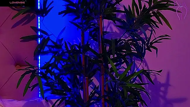 CoraVex online show from September 24, 2025, 4:30 am