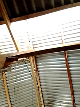 Snapshot of donna-bae chatting on March 19, 2026, 4:34 am donna-bae online show from March 19, 2026, 4:34 am