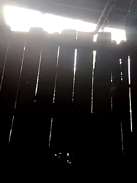 donna-bae online show from October 10, 2025, 11:05 pm