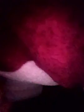 Snapshot of gccnfxdgg chatting on January 16, 2026, 2:54 pm gccnfxdgg online show from January 16, 2026, 2:54 pm