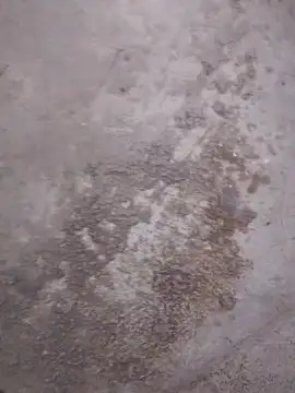 SalariedNudist online show from December 13, 2025, 8:04 pm