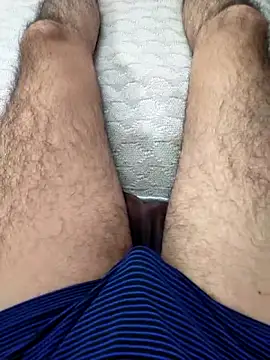 Mizo200 online show from November 4, 2025, 12:09 pm