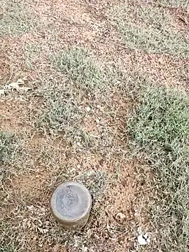 Snapshot of telugumodda4396 chatting on October 5, 2025, 2:02 am telugumodda4396 online show from October 5, 2025, 2:02 am