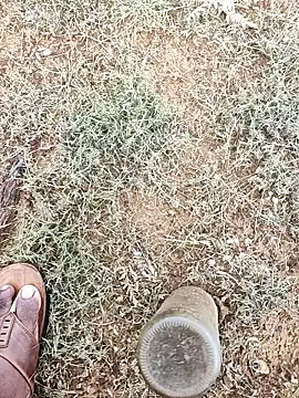 Snapshot of telugumodda4396 chatting on October 6, 2025, 2:35 am telugumodda4396 online show from October 6, 2025, 2:35 am