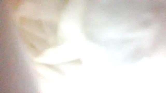 Snapshot of Argo1972 chatting on October 22, 2025, 4:12 am Argo1972 online show from October 22, 2025, 4:12 am