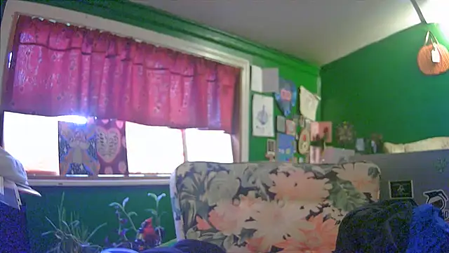 Snapshot of HippieDad333 chatting on June 6, 2026, 11:43 pm HippieDad333 online show from June 6, 2026, 11:43 pm