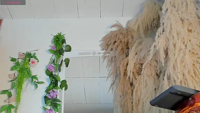 Tiffany deluxe online show from September 27, 2025, 7:31 pm