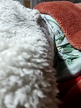 Paul-paul11 online show from January 7, 2026, 9:53 pm