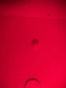 bellacagyal online show from February 11, 2026, 10:48 am