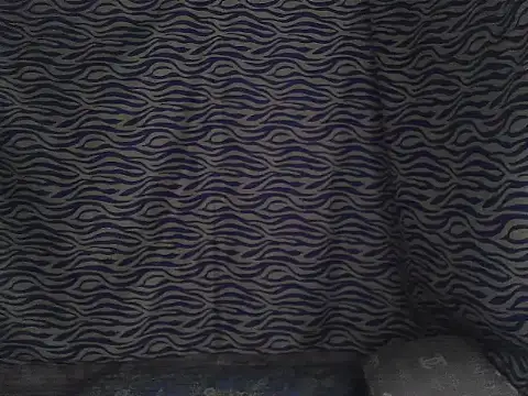 joy cute online show from February 7, 2026, 11:46 pm