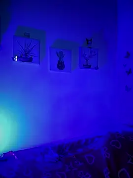 Solaangel  online show from December 17, 2025, 11:43 pm