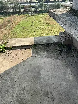 dachui 168 online show from February 5, 2026, 3:24 am