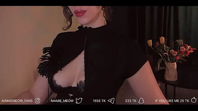 Snapshot of Mamiemeow chatting on April 6, 2026, 6:14 am Mamiemeow online show from April 6, 2026, 6:14 am