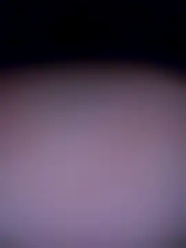 shannon kinne  online show from November 4, 2025, 10:30 am