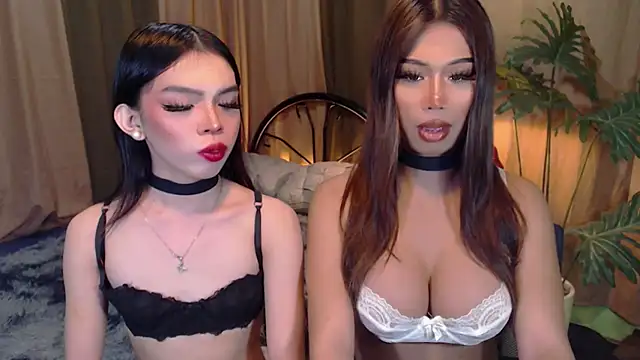 Snapshot of TWINKTRANSSHANEL chatting on October 6, 2025, 4:24 am TWINKTRANSSHANEL online show from October 6, 2025, 4:24 am