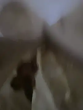 Snapshot of Moro-89 chatting on April 5, 2026, 6:20 am Moro-89 online show from April 5, 2026, 6:20 am