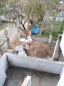 hemcrazy online show from February 20, 2026, 1:02 am