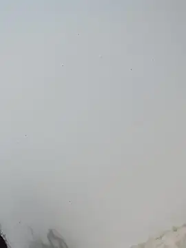  Bella Beth  online show from December 2, 2025, 12:55 am