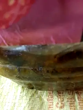 Cr sonam online show from November 17, 2025, 1:04 pm