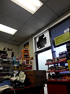 Cassaroll333 online show from October 29, 2025, 3:44 pm