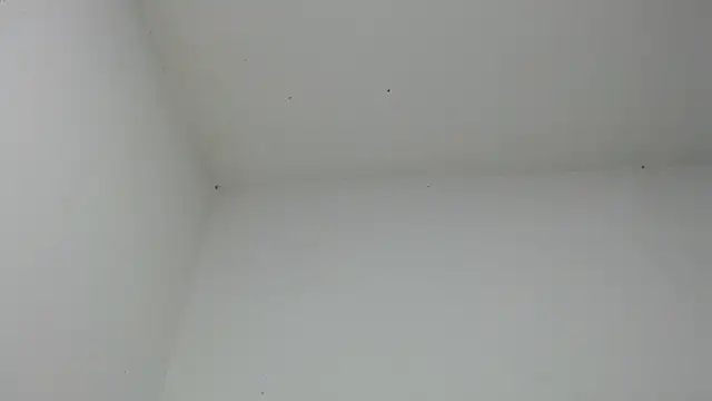 drako monster online show from December 18, 2025, 6:51 am