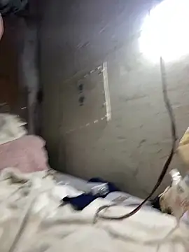 Nectarioteins online show from February 4, 2026, 5:24 am