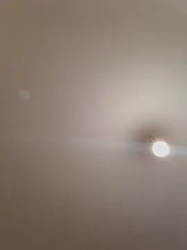 labellerose online show from November 14, 2025, 6:11 pm