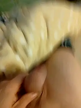 Snapshot of Graimito chatting on March 3, 2026, 3:41 pm Graimito online show from March 3, 2026, 3:41 pm