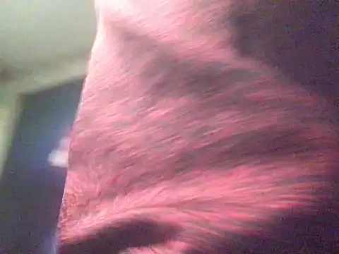 CraveMyCock online show from January 13, 2026, 1:42 am