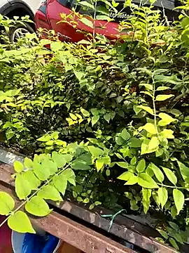 crawlerdrill online show from October 19, 2025, 4:37 am