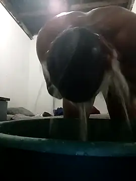 MyGuy352 online show from December 4, 2025, 7:13 pm