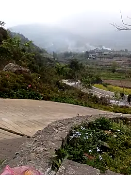 Snapshot of siusiu-00 chatting on March 3, 2026, 4:41 am siusiu-00 online show from March 3, 2026, 4:41 am