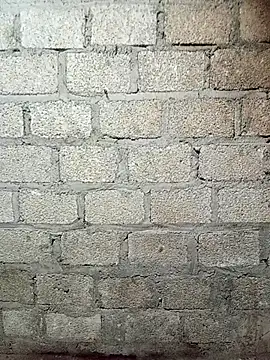 Snapshot of siusiu-00 chatting on March 11, 2026, 10:42 am siusiu-00 online show from March 11, 2026, 10:42 am