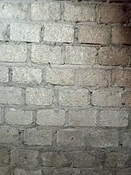 Snapshot of siusiu-00 chatting on March 12, 2026, 1:59 pm siusiu-00 online show from March 12, 2026, 1:59 pm