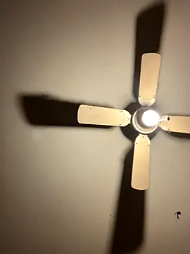 CarmeloA online show from October 30, 2025, 8:17 pm