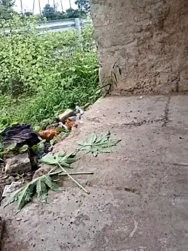 Snapshot of DesiVideo00 chatting on November 28, 2025, 8:25 am DesiVideo00 online show from November 28, 2025, 8:25 am