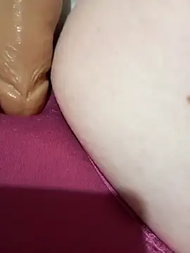 Taradinha pelosogro online show from November 3, 2025, 11:58 am