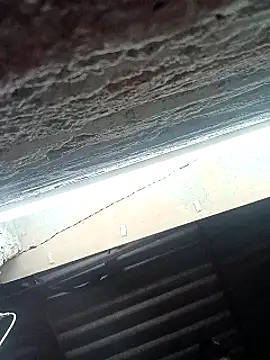 Rajni chauhan online show from February 23, 2026, 6:52 pm