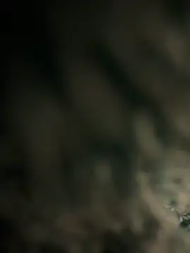 Snapshot of menina_coimbrinha chatting on October 15, 2025, 9:06 am menina coimbrinha online show from October 15, 2025, 9:06 am