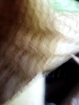 Soumyajit129ommk online show from November 11, 2025, 3:01 am