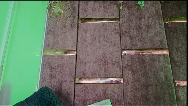 Snapshot of Rynka_ chatting on February 15, 2026, 8:46 am Rynka online show from February 15, 2026, 8:46 am