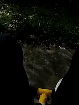 roludao fun online show from November 27, 2025, 12:00 am