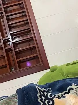 Snapshot of Phale2x chatting on February 11, 2026, 12:32 am Phale2x online show from February 11, 2026, 12:32 am