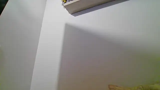 valeriahornier online show from July 16, 2026, 11:46 pm